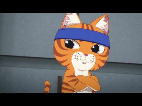 TVアニメ『ラーメン赤猫』本PV