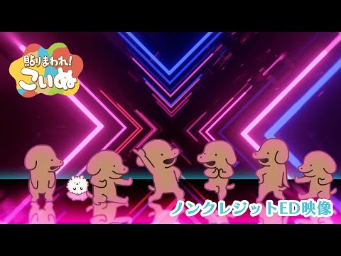 「貼りまわれ！こいぬ」ノンクレジットED映像【2024年1月6日(土)より放送開始】