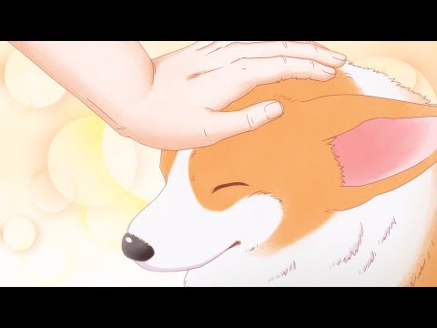 TVアニメ『殿と犬』PV